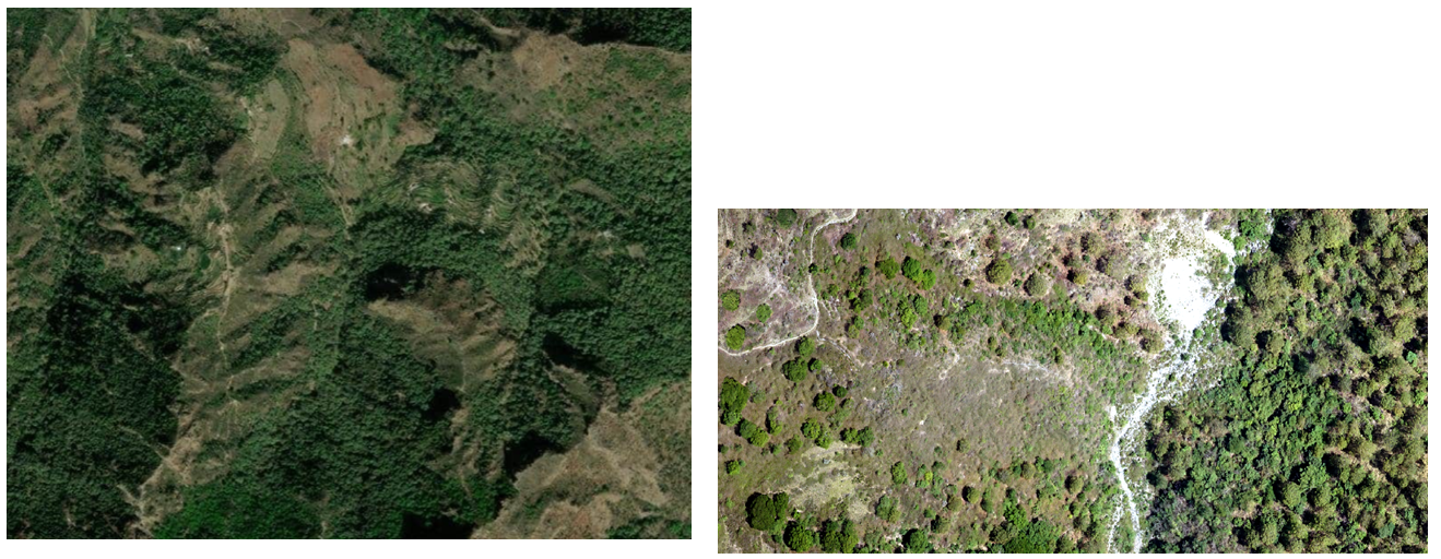 single-services-img-4